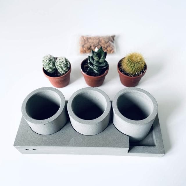 【Islanders Life 島人手作】火力全開 l大l 開運招財療癒仙人掌(新年禮物 情人節禮物 生日禮物 開幕升遷喬遷賀禮)