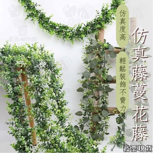 沐晨植物園|仿真藤蔓 仿真壁掛植物 假花藤 壁掛裝飾花藤 居家裝飾 室內盆栽 管道裝飾 牆壁佈置 綠植擺飾 尤加利壁掛