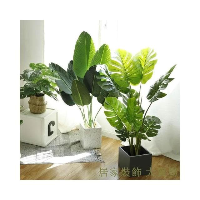 樹 龜背葉 琴葉榕 大型北歐ins風旅人蕉天堂鳥客廳落地假盆栽景植物擺件樹