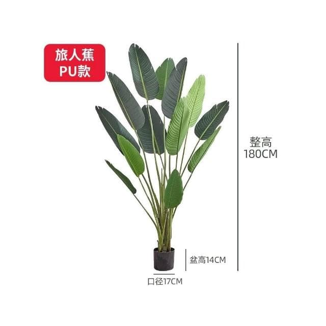 樹 龜背葉 琴葉榕 大型北歐ins風旅人蕉天堂鳥客廳落地假盆栽景植物擺件樹